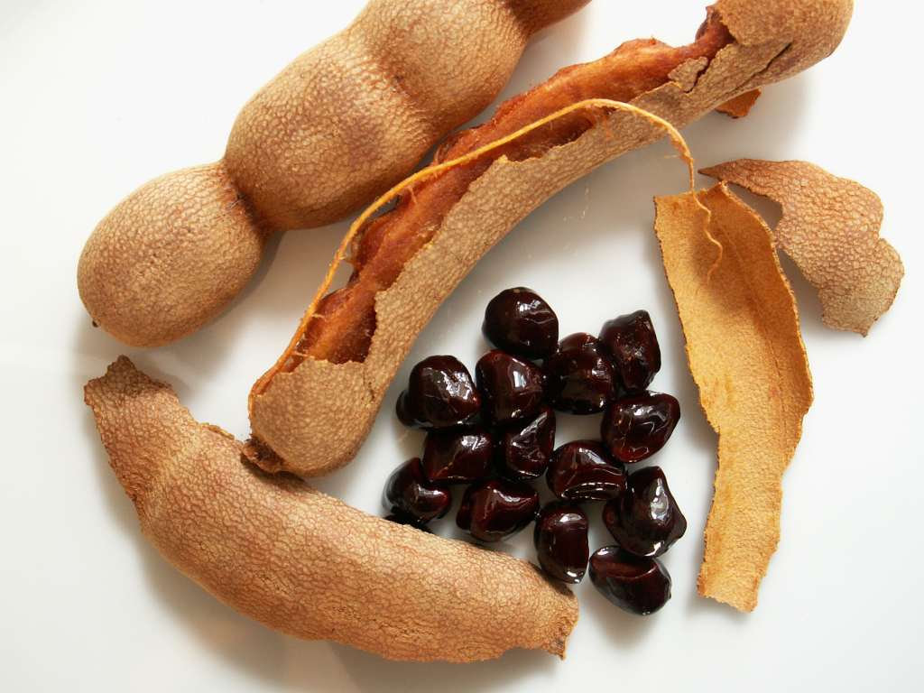 Seeds Of Tamarindus Indica Indian Tamerint Tamarind Tree 10 Seeds For Sowing On Luulla